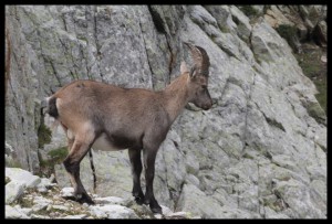IMG_1536  